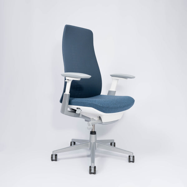 Fern Ergonomic Office Chair