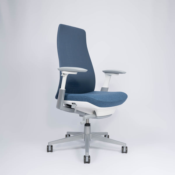 Fern Ergonomic Office Chair