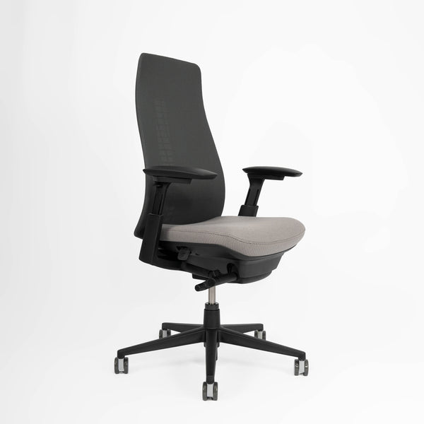 Fern Ergonomic Office Chair