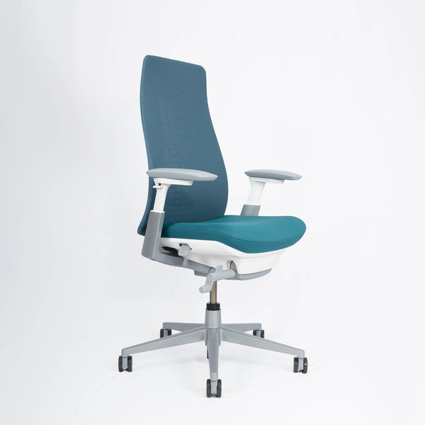 Fern Ergonomic Office Chair