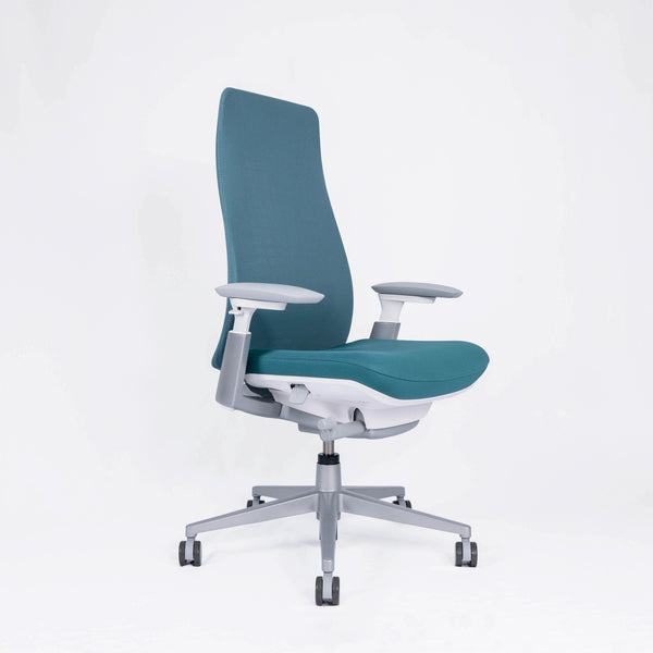 Fern Ergonomic Office Chair