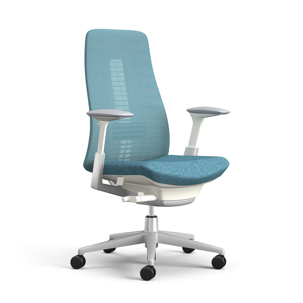 Fern Ergonomic Office Chair