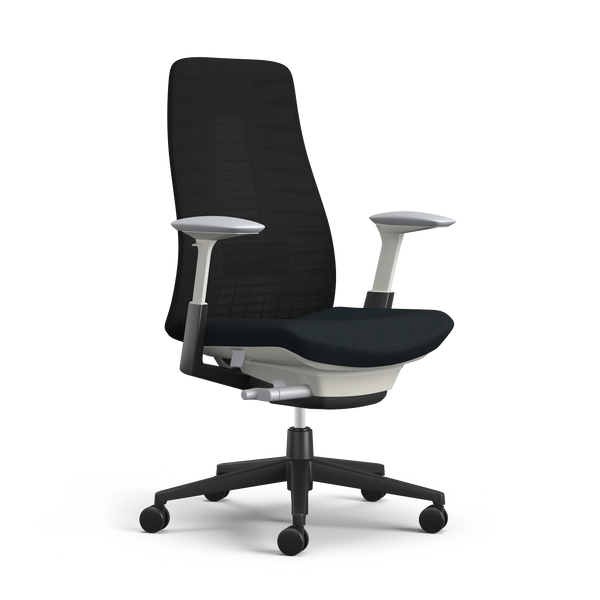 Fern Ergonomic Office Chair