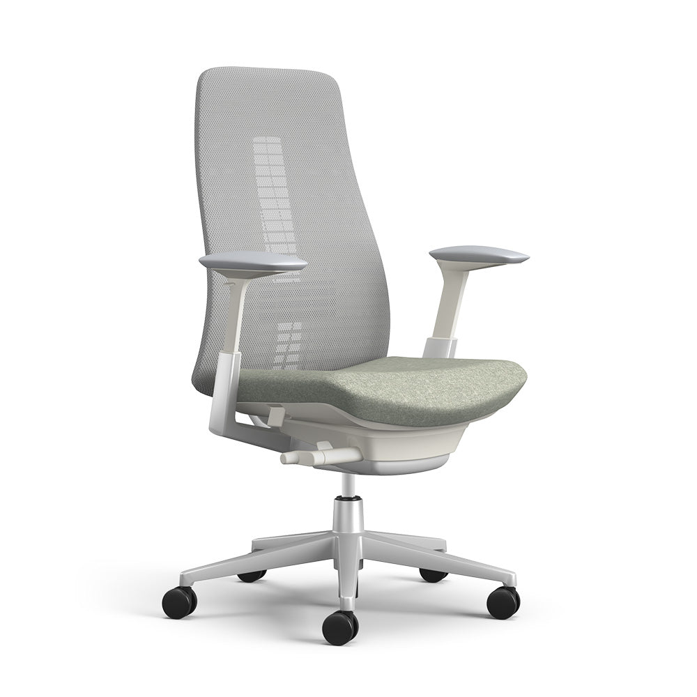 Fern Ergonomic Office Chair