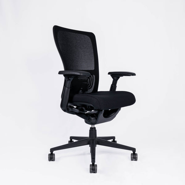 Zody Mesh Ergonomic Office Chair